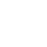 Play Icon